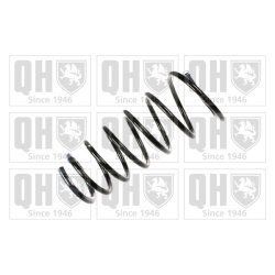 Suspension Spring QUINTON HAZELL QCS5863 OE Ref 1033367