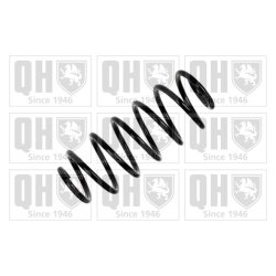 Suspension Spring QUINTON HAZELL QCS5866 OE Ref 5102N6