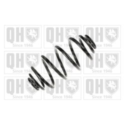Suspension Spring QUINTON HAZELL QCS5869 OE Ref 424098 QUINTON HAZELL
