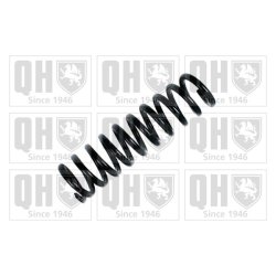 Suspension Spring QUINTON HAZELL QCS5873 OE Ref 1293210704