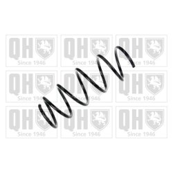 Suspension Spring QUINTON HAZELL QCS5877 OE Ref 312310