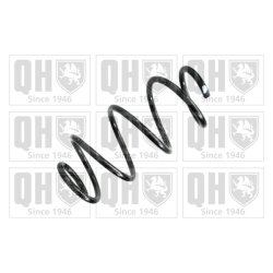 Suspension Spring QUINTON HAZELL QCS5883 OE Ref 6R0411105BM