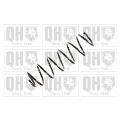 Suspension Spring QUINTON HAZELL QCS5892 OE Ref 5002CL