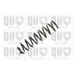 Suspension Spring QUINTON HAZELL QCS5898 OE Ref 8200357085 QUINTON HAZELL