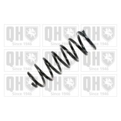 Suspension Spring QUINTON HAZELL QCS5900 OE Ref 60658365 QUINTON HAZELL