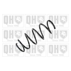 Suspension Spring QUINTON HAZELL QCS5901 OE Ref 50709930 QUINTON HAZELL