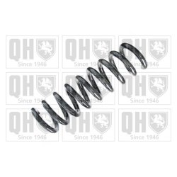 Suspension Spring QUINTON HAZELL QCS5912 OE Ref 2113240804 QUINTON HAZELL