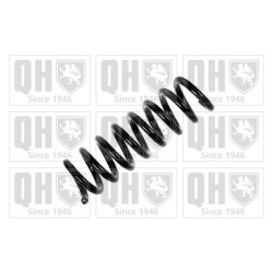 Suspension Spring QUINTON HAZELL QCS5915 OE Ref 2113240704