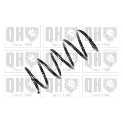 Suspension Spring QUINTON HAZELL QCS5920 OE Ref 7635773