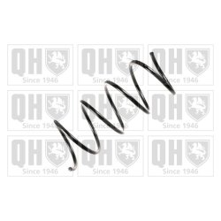 Suspension Spring QUINTON HAZELL QCS5921 OE Ref 2033214004 QUINTON HAZELL