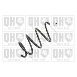 Suspension Spring QUINTON HAZELL QCS5925 OE Ref 540100023R