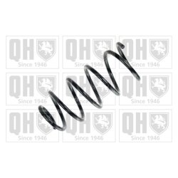 Suspension Spring QUINTON HAZELL QCS5926 OE Ref 52058823