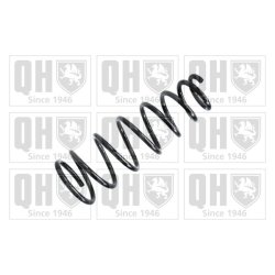 Suspension Spring QUINTON HAZELL QCS5929 OE Ref FE0228011