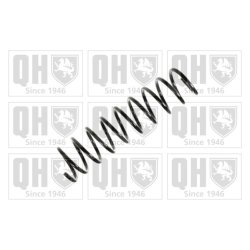 Suspension Spring QUINTON HAZELL QCS5930 OE Ref 8200192913