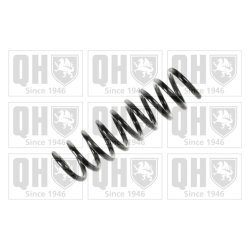 Suspension Spring QUINTON HAZELL QCS5935 OE Ref 2103212904