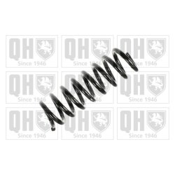 Suspension Spring QUINTON HAZELL QCS5937 OE Ref 2023242504