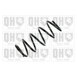 Suspension Spring QUINTON HAZELL QCS5938 OE Ref 312312