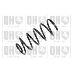 Suspension Spring QUINTON HAZELL QCS5946 OE Ref 424118