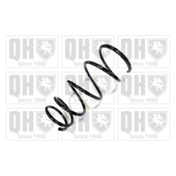 Suspension Spring QUINTON HAZELL QCS5954 OE Ref 481310D180 QUINTON HAZELL