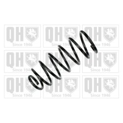Suspension Spring QUINTON HAZELL QCS5974 OE Ref 6N0411105E