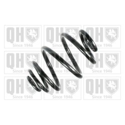 Suspension Spring QUINTON HAZELL QCS5976 OE Ref 424054