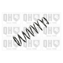 Suspension Spring QUINTON HAZELL QCS5986 OE Ref 482316A690