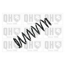 Suspension Spring QUINTON HAZELL QCS6002 OE Ref 4823113100 QUINTON HAZELL