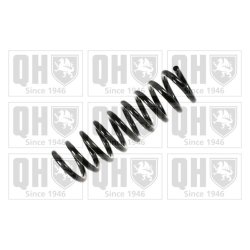 Suspension Spring QUINTON HAZELL QCS6009 OE Ref 2103213104 QUINTON HAZELL