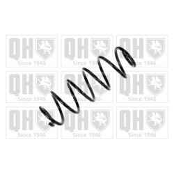 Suspension Spring QUINTON HAZELL QCS6010 OE Ref 1693243404 QUINTON HAZELL