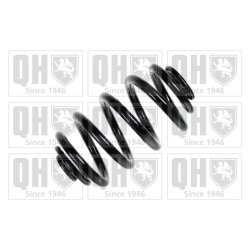 Suspension Spring QUINTON HAZELL QCS6024 OE Ref 33533413079