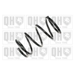 Suspension Spring QUINTON HAZELL QCS6029 OE Ref 4041484 QUINTON HAZELL