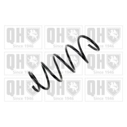 Suspension Spring QUINTON HAZELL QCS6030 OE Ref 50703947