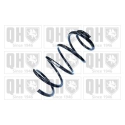 Suspension Spring QUINTON HAZELL QCS6033 OE Ref 546302H120 QUINTON HAZELL