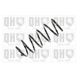 Suspension Spring QUINTON HAZELL QCS6036 OE Ref 1J0411105AD QUINTON HAZELL