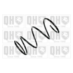 Suspension Spring QUINTON HAZELL QCS6042 OE Ref 4813142020