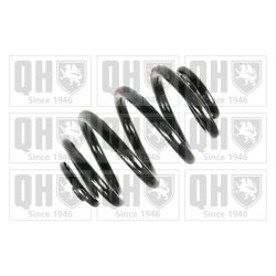 Suspension Spring QUINTON HAZELL QCS6046 OE Ref 33531095710 QUINTON HAZELL