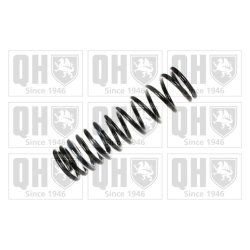 Suspension Spring QUINTON HAZELL QCS6048 OE Ref 1143701