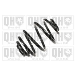 Suspension Spring QUINTON HAZELL QCS6049 OE Ref 96226988 QUINTON HAZELL