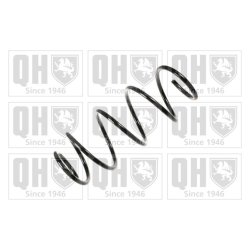 Suspension Spring QUINTON HAZELL QCS6050 OE Ref 46751135 QUINTON HAZELL