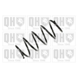 Suspension Spring QUINTON HAZELL QCS6055 OE Ref 312105
