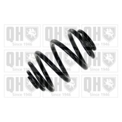 Suspension Spring QUINTON HAZELL QCS6056 OE Ref 33536761925