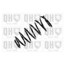Suspension Spring QUINTON HAZELL QCS6060 OE Ref 1J0411105AN
