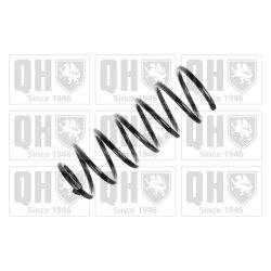 Suspension Spring QUINTON HAZELL QCS6062 OE Ref 357411105AB