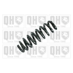 Suspension Spring QUINTON HAZELL QCS6070 OE Ref 33536773596 QUINTON HAZELL
