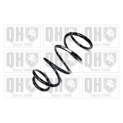 Suspension Spring QUINTON HAZELL QCS6073 OE Ref 31336790099