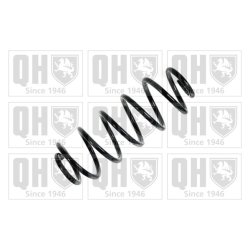 Suspension Spring QUINTON HAZELL QCS6074 OE Ref 50705317 QUINTON HAZELL