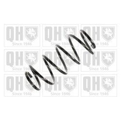 Suspension Spring QUINTON HAZELL QCS6090 OE Ref 312100 QUINTON HAZELL