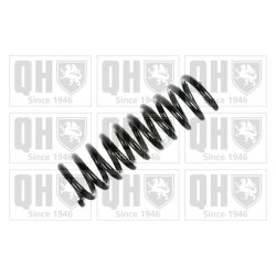 Suspension Spring QUINTON HAZELL QCS6094 OE Ref 1243241604 QUINTON HAZELL