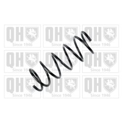Suspension Spring QUINTON HAZELL QCS6101 OE Ref 546301C500DS