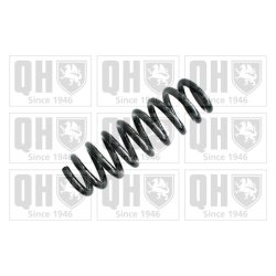 Suspension Spring QUINTON HAZELL QCS6104 OE Ref 33536776932 QUINTON HAZELL